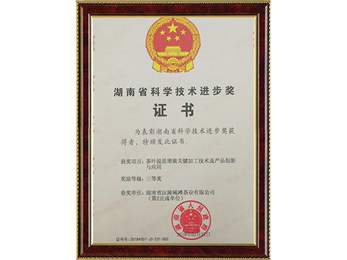 湖南省科學(xué)技術(shù)進步獎