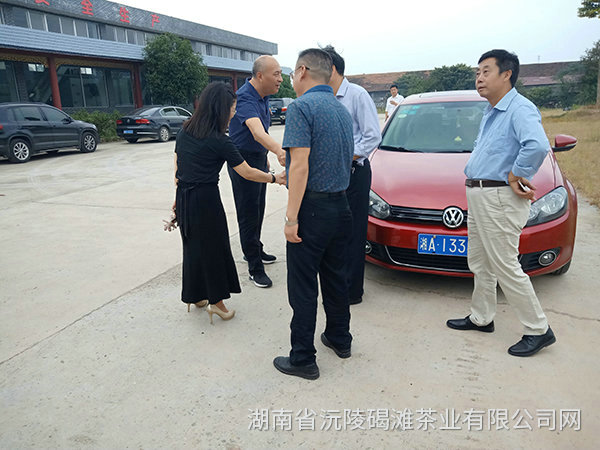 縣領導及省農業(yè)廳領導茬臨產業(yè)園區(qū)指導工作4