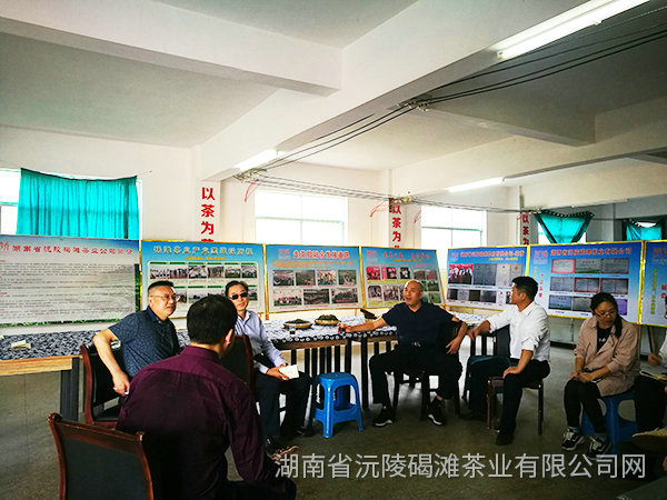 縣領導及省農業(yè)廳領導茬臨產業(yè)園區(qū)指導工作6