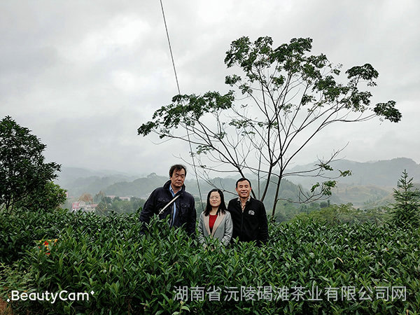 2019年天津客戶(hù)來(lái)公司考察3