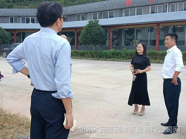 縣領導及省農業(yè)廳領導茬臨產業(yè)園區(qū)指導工作1