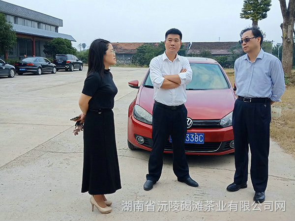 縣領導及省農業(yè)廳領導茬臨產業(yè)園區(qū)指導工作8