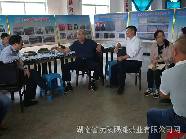 縣領(lǐng)導(dǎo)及省農(nóng)業(yè)廳領(lǐng)導(dǎo)茬臨產(chǎn)業(yè)園區(qū)指導(dǎo)工作10