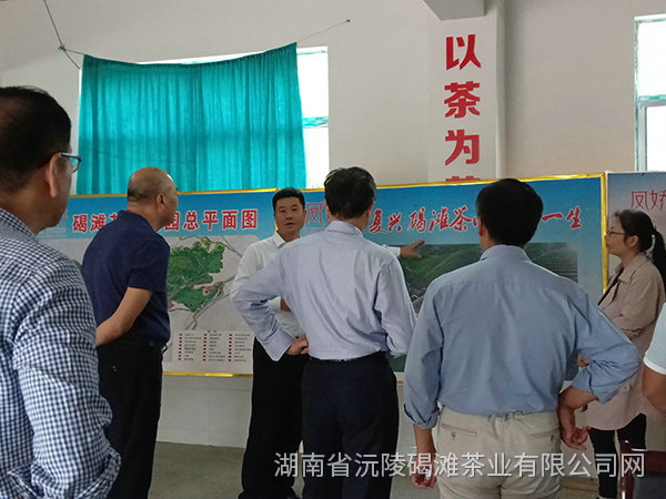 縣領(lǐng)導(dǎo)及省農(nóng)業(yè)廳領(lǐng)導(dǎo)茬臨產(chǎn)業(yè)園區(qū)指導(dǎo)工作11