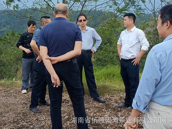 縣領導及省農業(yè)廳領導茬臨產業(yè)園區(qū)指導工作3