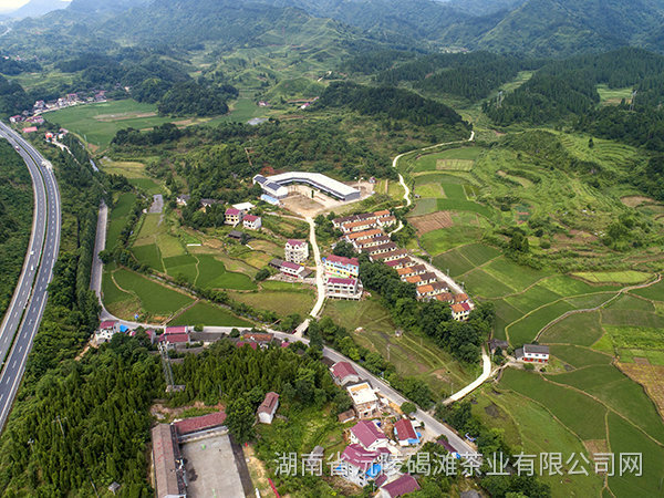 基地鳥撖圖 基地鳥撖圖