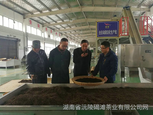 茶園開(kāi)發(fā)基地