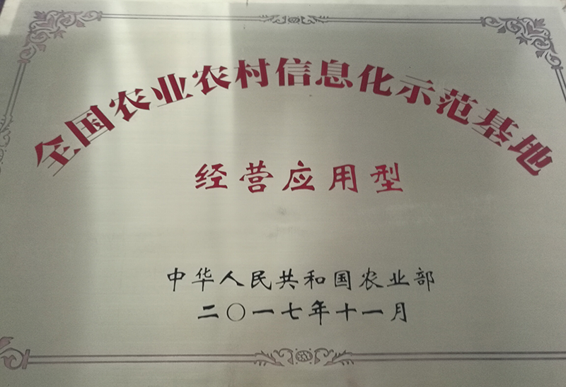 湖南省沅陵碣灘茶業(yè)有限公司,沅陵茶園開(kāi)發(fā),茶葉加工,茶文化傳播