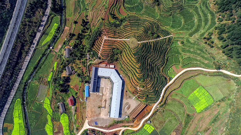 湖南省沅陵碣灘茶業(yè)有限公司,沅陵茶園開(kāi)發(fā),茶葉加工,茶文化傳播