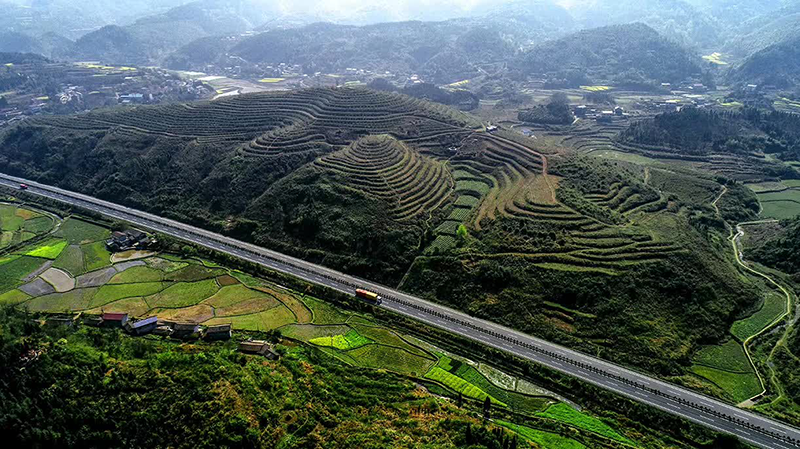 湖南省沅陵碣灘茶業(yè)有限公司,沅陵茶園開(kāi)發(fā),茶葉加工,茶文化傳播