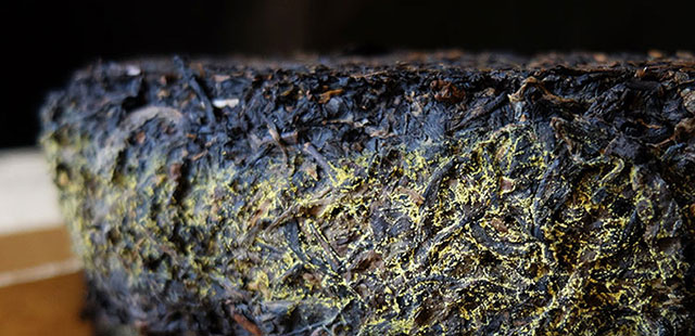 新聞動(dòng)態(tài)