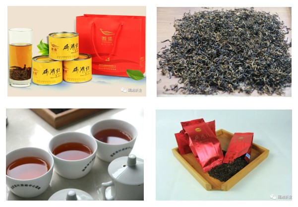 湖南省沅陵碣灘茶業(yè)有限公司,沅陵碣灘茶,茶葉加工銷售,茶文化傳播