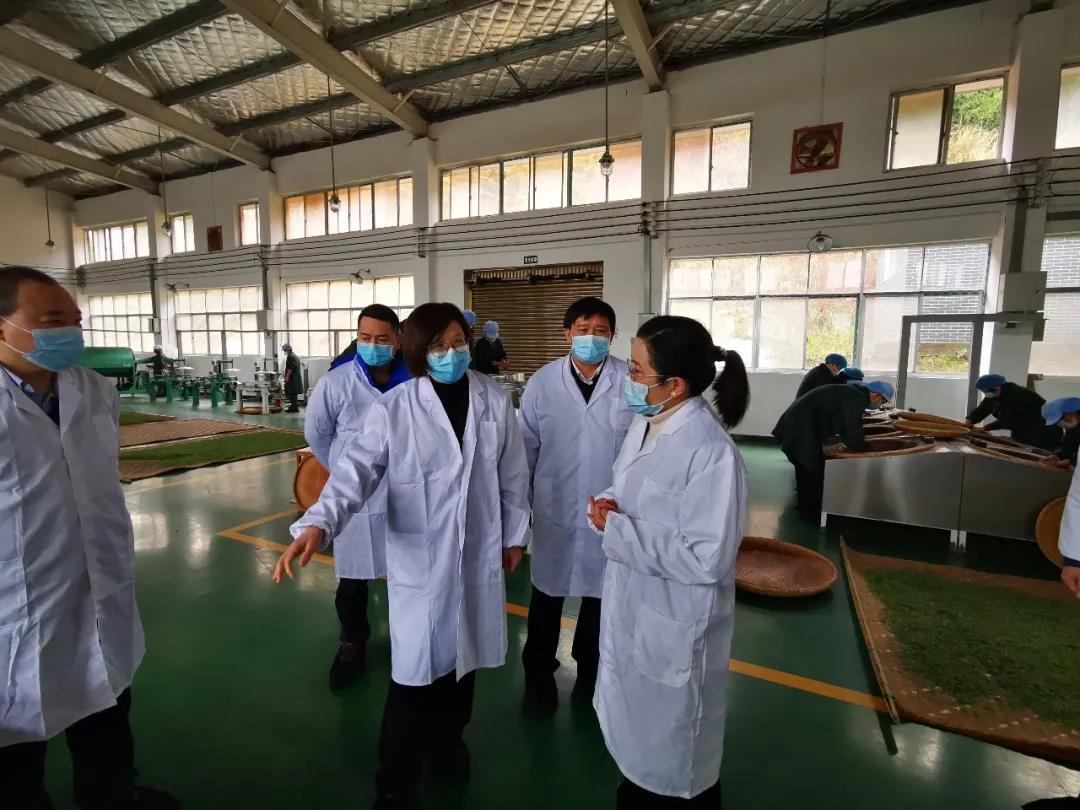 湖南省沅陵碣灘茶業(yè)有限公司,沅陵碣灘茶,茶葉加工銷售,茶文化傳播 湖南省沅陵碣灘茶業(yè)有限公司,沅陵碣灘茶,茶葉加工銷售,茶文化傳播