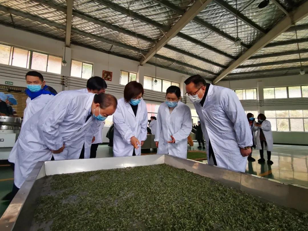 湖南省沅陵碣灘茶業(yè)有限公司,沅陵碣灘茶,茶葉加工銷售,茶文化傳播 湖南省沅陵碣灘茶業(yè)有限公司,沅陵碣灘茶,茶葉加工銷售,茶文化傳播