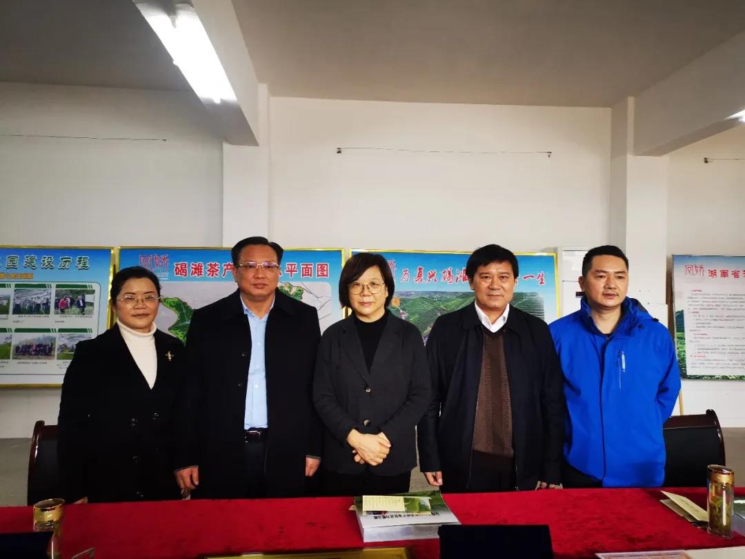 湖南省沅陵碣灘茶業(yè)有限公司,沅陵碣灘茶,茶葉加工銷售,茶文化傳播 湖南省沅陵碣灘茶業(yè)有限公司,沅陵碣灘茶,茶葉加工銷售,茶文化傳播