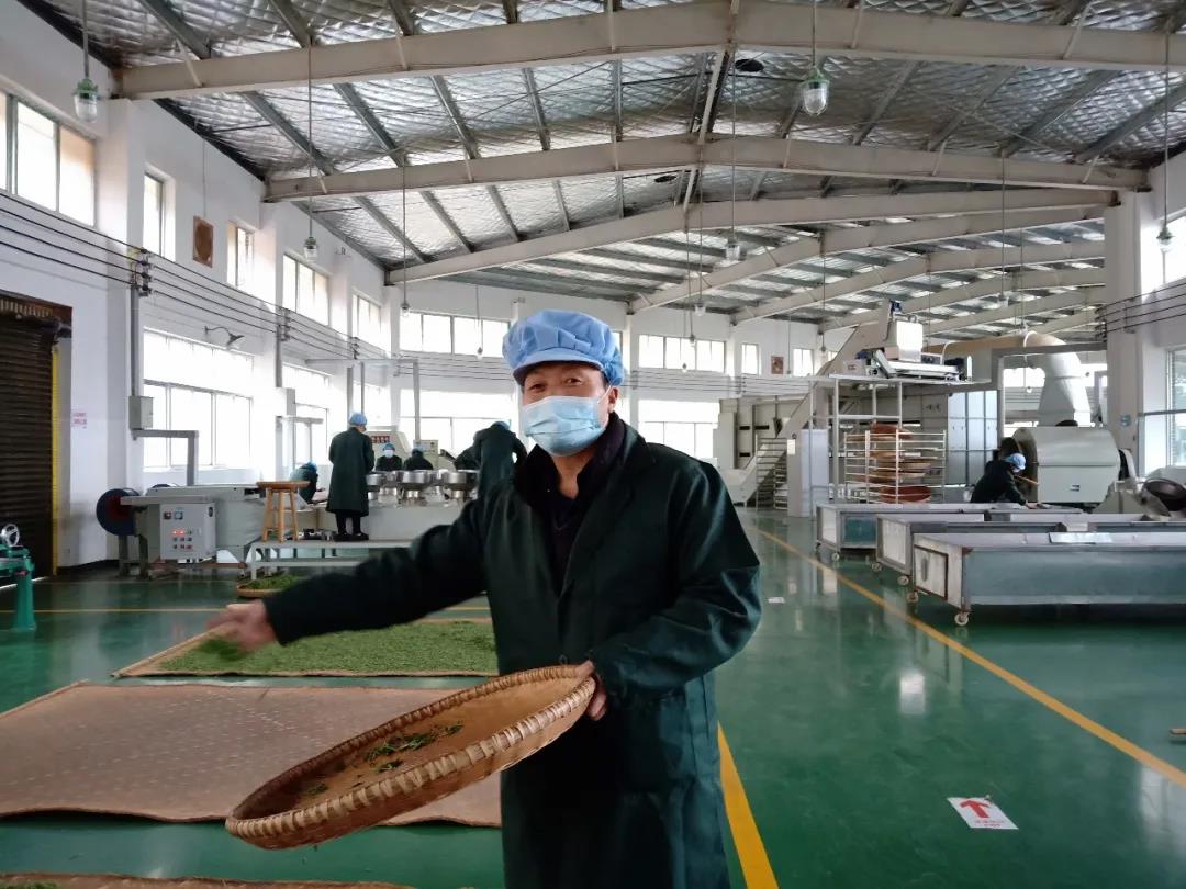 湖南省沅陵碣灘茶業(yè)有限公司,沅陵碣灘茶,茶葉加工銷售,茶文化傳播 湖南省沅陵碣灘茶業(yè)有限公司,沅陵碣灘茶,茶葉加工銷售,茶文化傳播