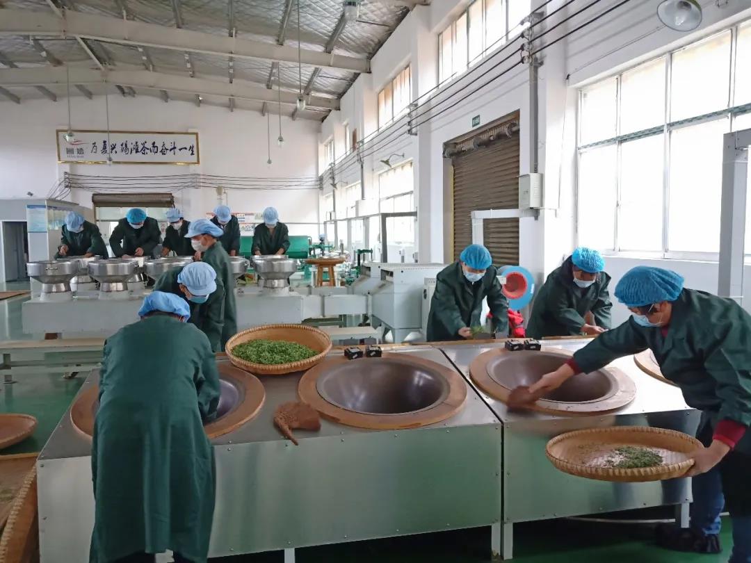 湖南省沅陵碣灘茶業(yè)有限公司,沅陵碣灘茶,茶葉加工銷售,茶文化傳播 湖南省沅陵碣灘茶業(yè)有限公司,沅陵碣灘茶,茶葉加工銷售,茶文化傳播