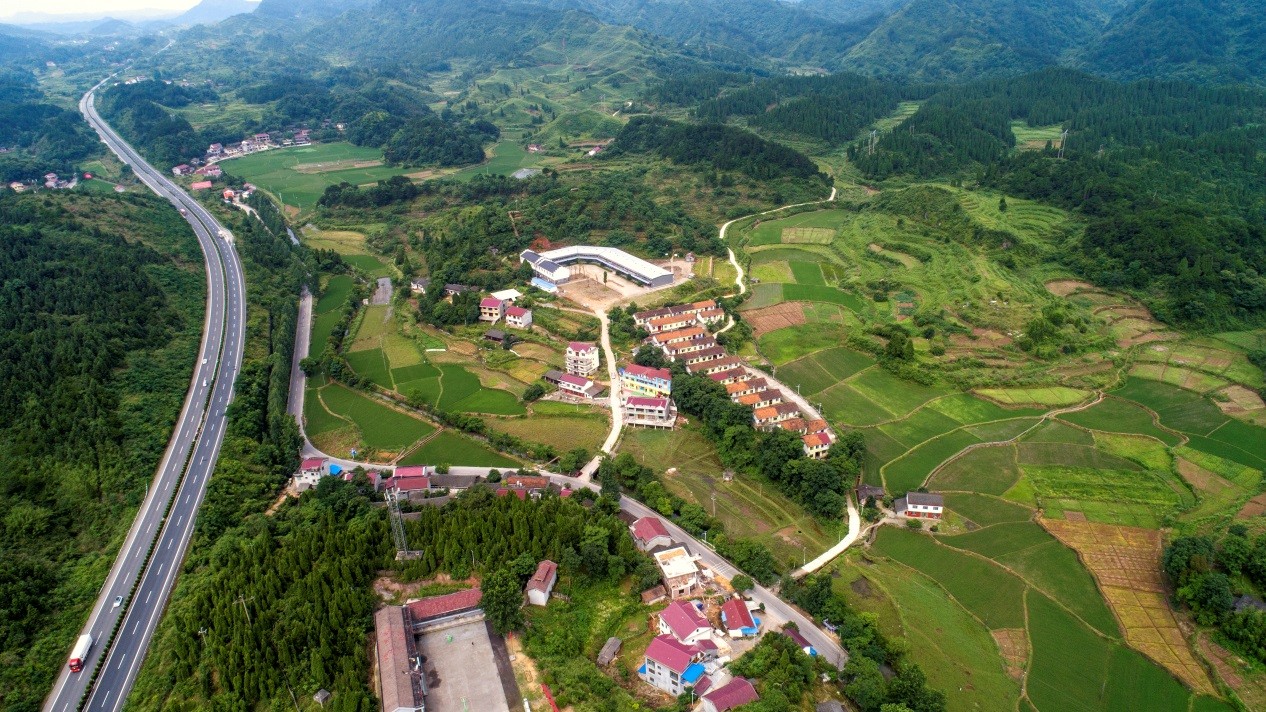 湖南省沅陵碣灘茶業(yè)有限公司,沅陵碣灘茶,茶葉加工銷售,茶文化傳播