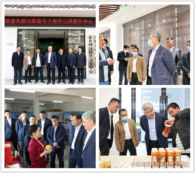 湖南省沅陵碣灘茶業(yè)有限公司,沅陵碣灘茶,茶葉加工銷售,茶文化傳播