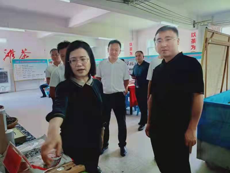 新聞動(dòng)態(tài)