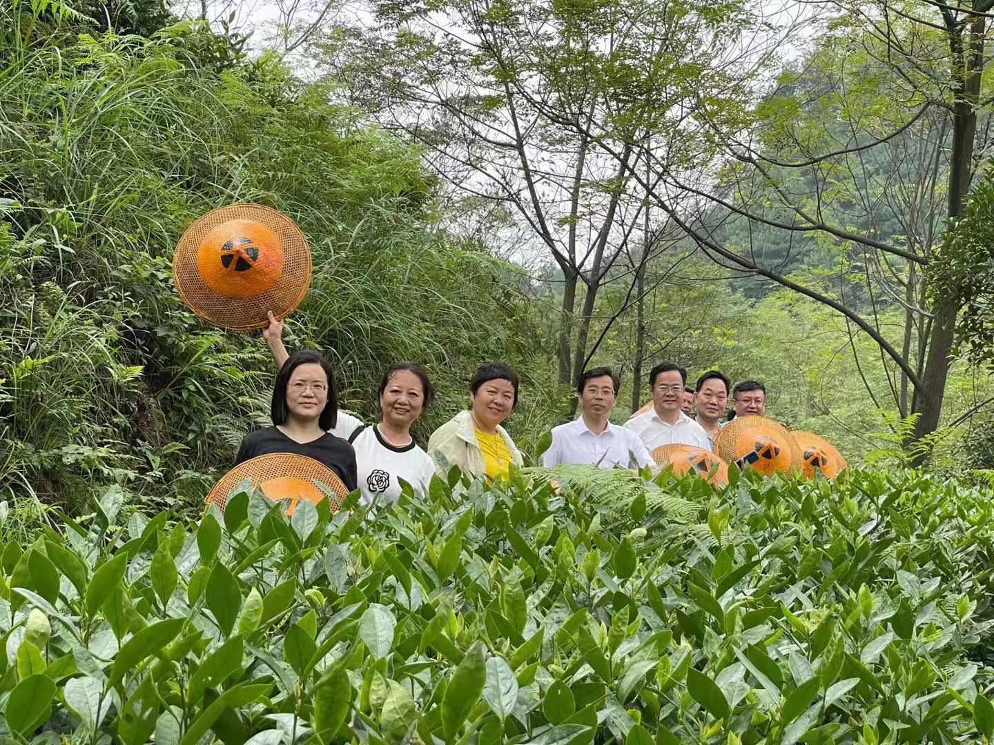 新聞動(dòng)態(tài)