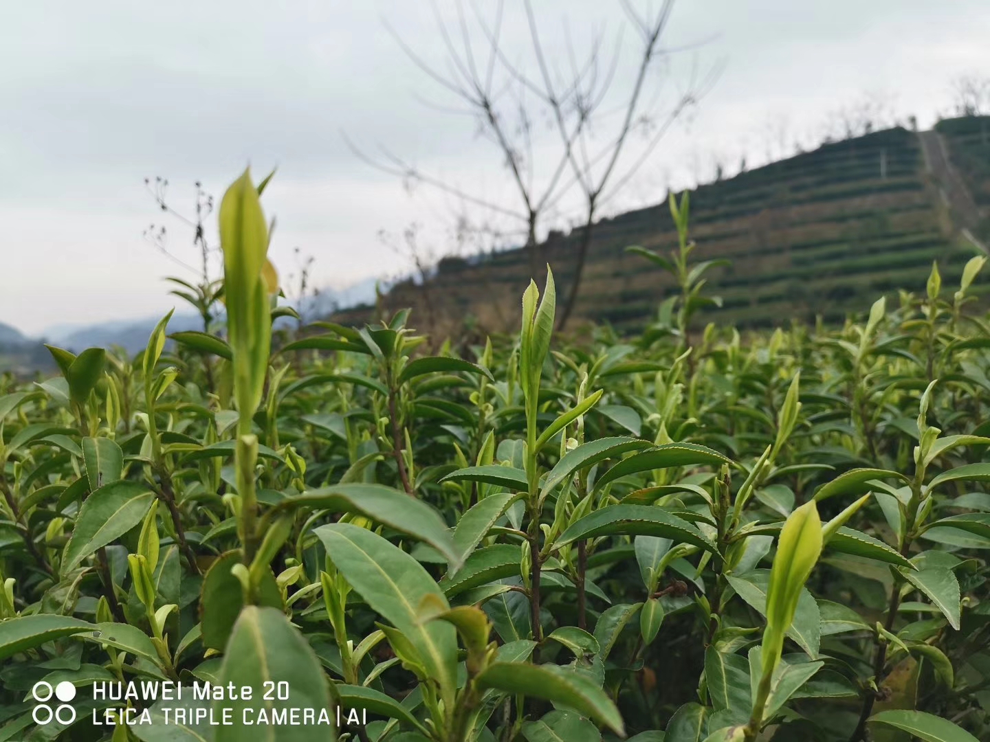新聞動(dòng)態(tài)