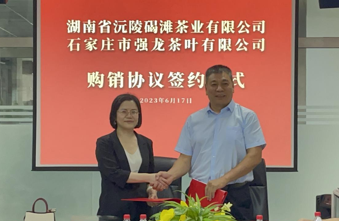 新聞動(dòng)態(tài)